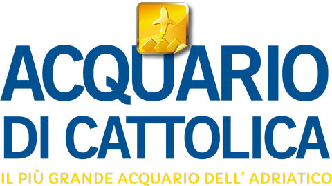 Logo ADC